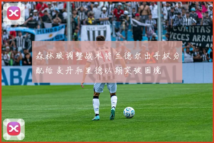 森林狼调整战术将兰德尔出手权分配给麦丹和里德以期突破困境