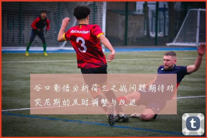 谷口彰悟分析荷兰之战问题期待对突尼斯的及时调整与改进